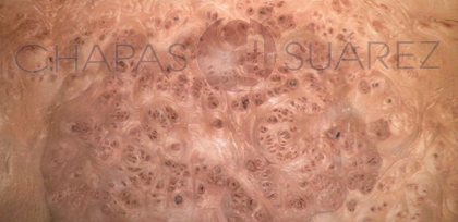 Lupa de Olmo natural