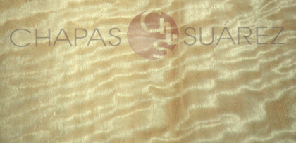 Eucaliptus Frisé chapa natural